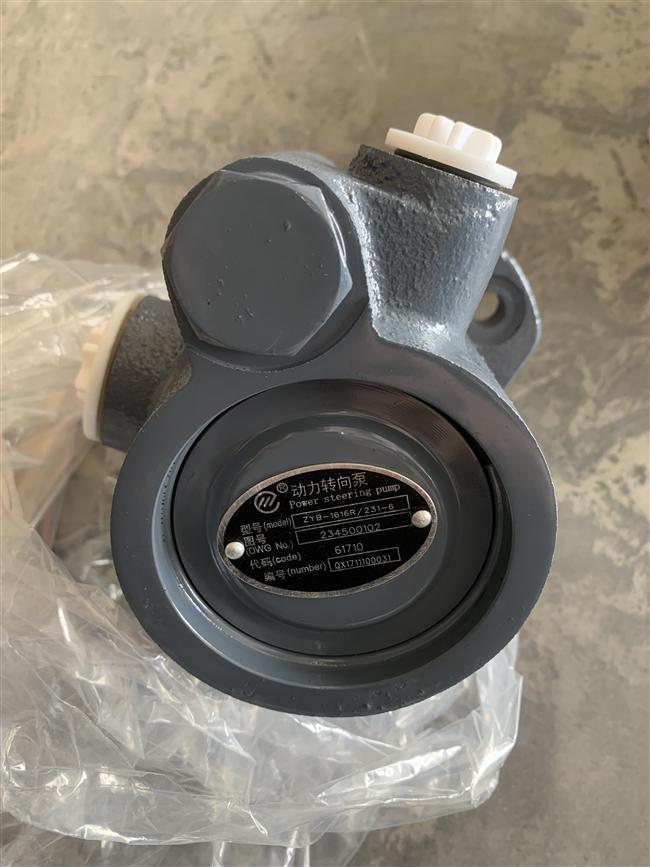 Steering oil pump, WP6 series-2