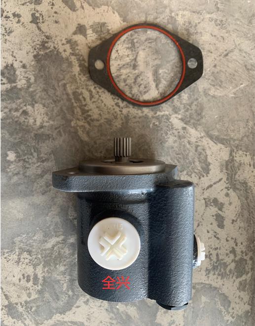 Steering oil pump, WP6 series