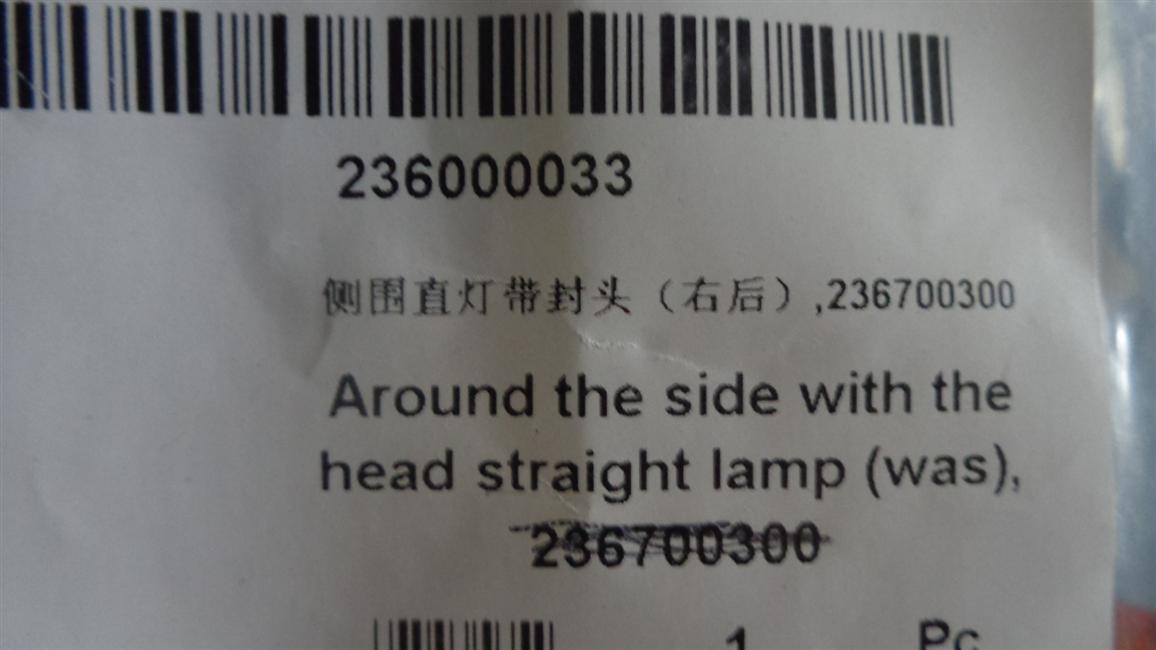 Side-circular straight light with head (right rear), 236700300-1