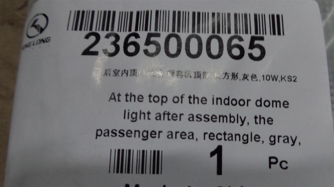 Rear interior ceiling light assembly, passenger area top, rectangle, gray, 10W, 3110, KS2