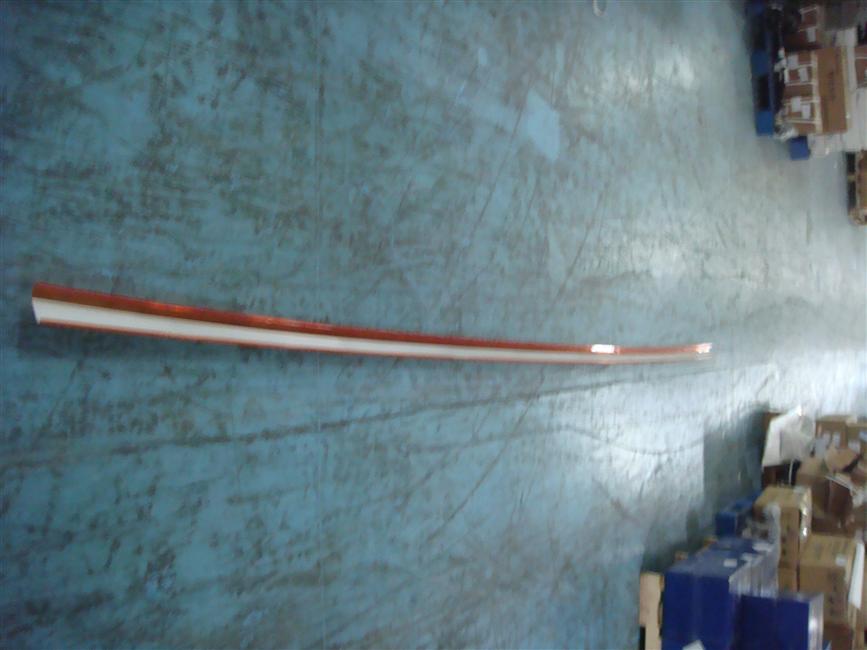 Decorative light on the left side, 6129Y, 24V