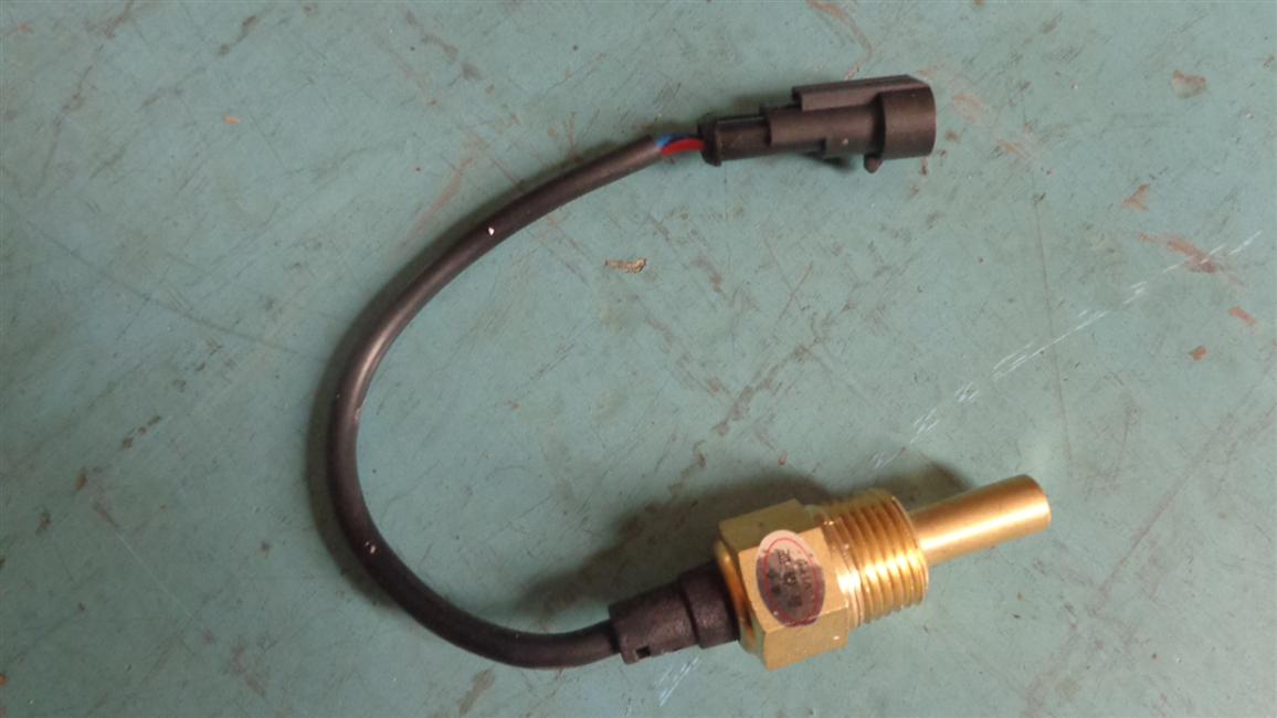 Capteur de température de l'eau, VT-WG901II, Z1/2