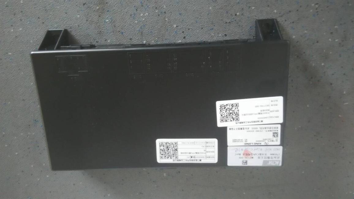 Central processor, PPU, Okojia simplified version of bus