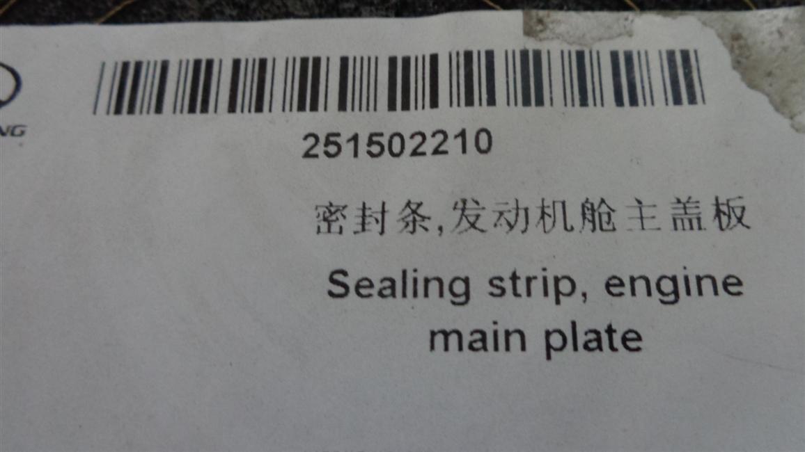 Опечатанная полоса, главное покрытие моторного отсека