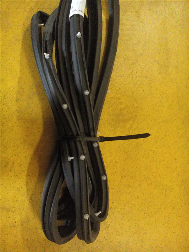 Driver door sealant strip, F031-1-2-3-1