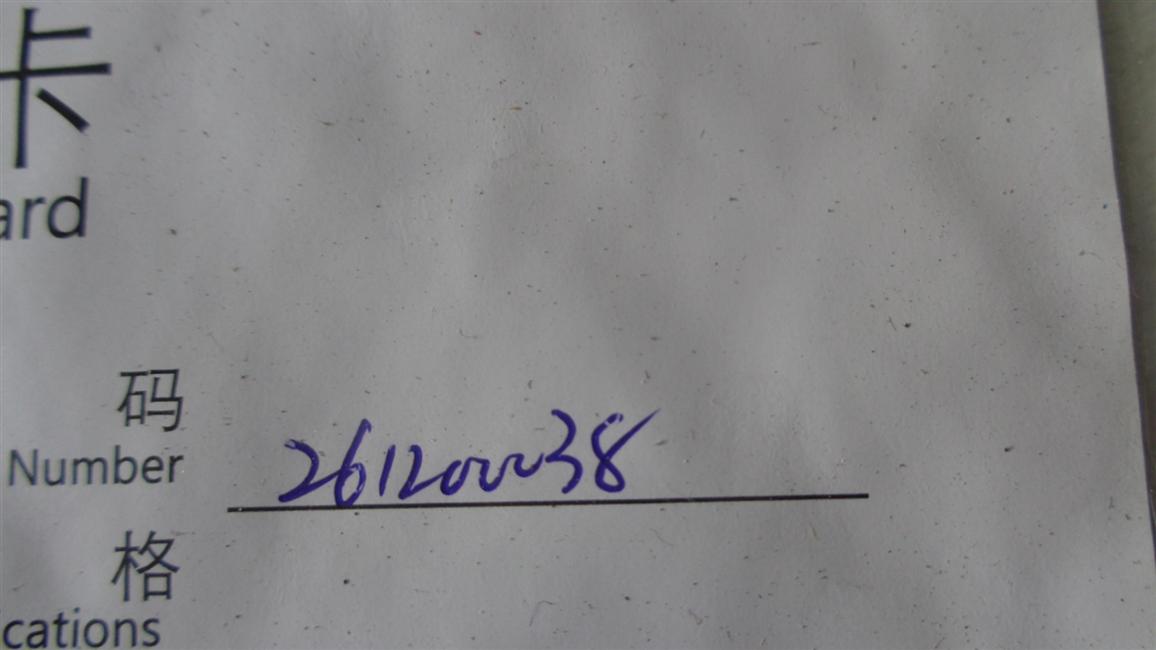 Cover-passenger door, 121842 light color, 6117Y, right side, door lock inspection cover