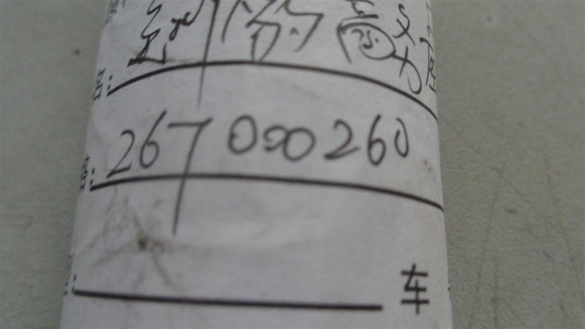 Jaguar Business Gas Spring (Window), 267400110