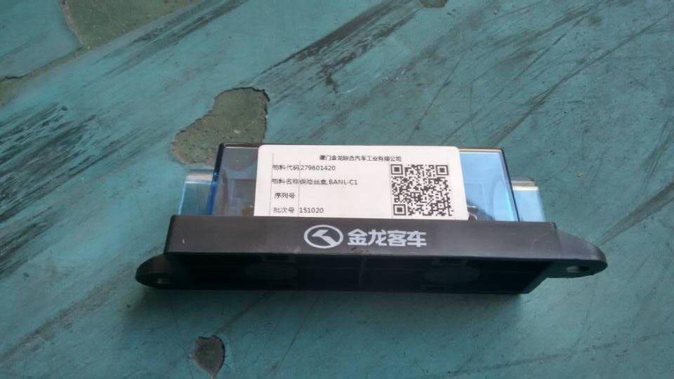 Fuse and box assembly, 100A, BANL-C1