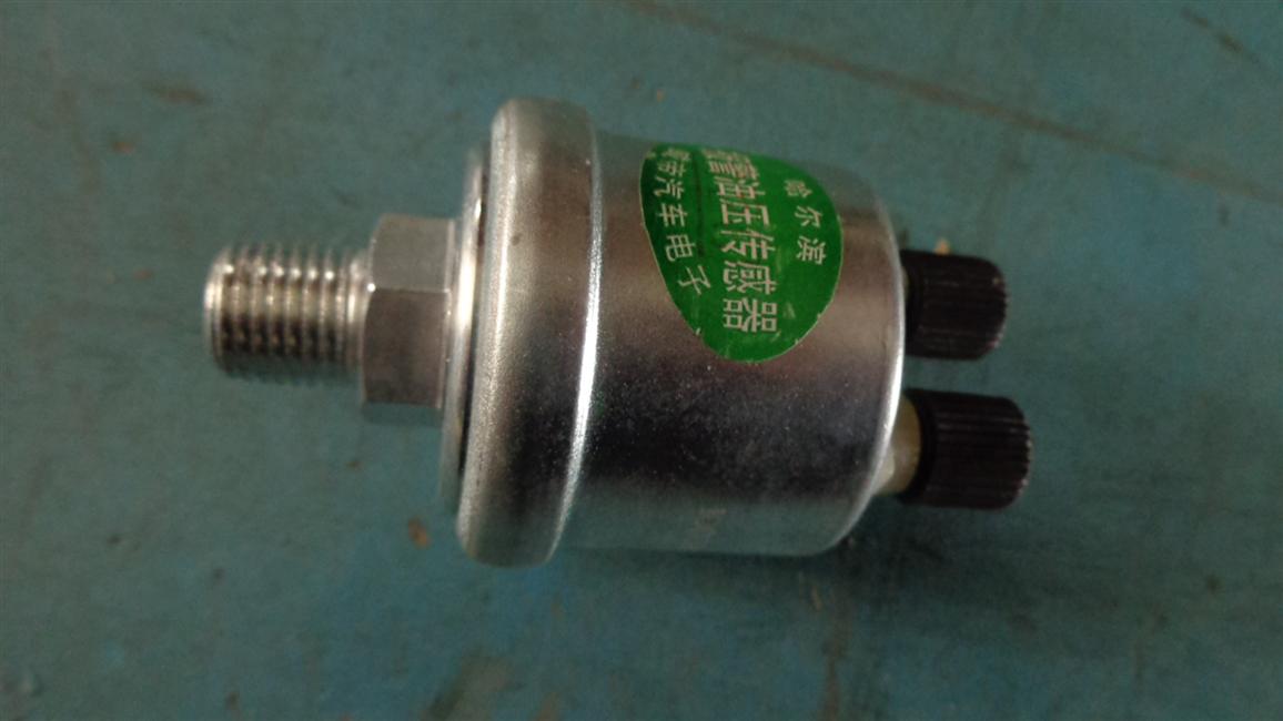 Alarm hydraulic sensor (YG202/PT1/8)-disabled, DQ-CGQ-VD-YG202-2
