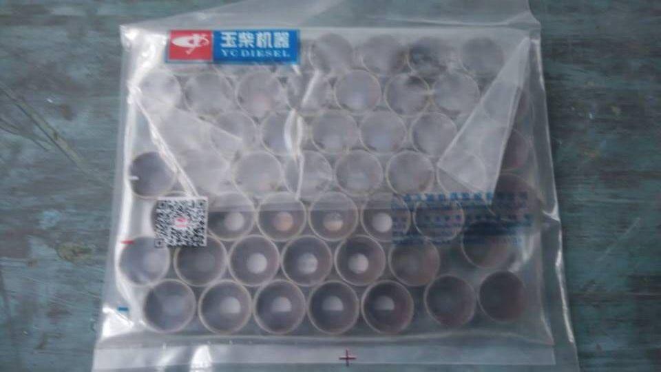 Valve rod oil seal, YC6L330-20