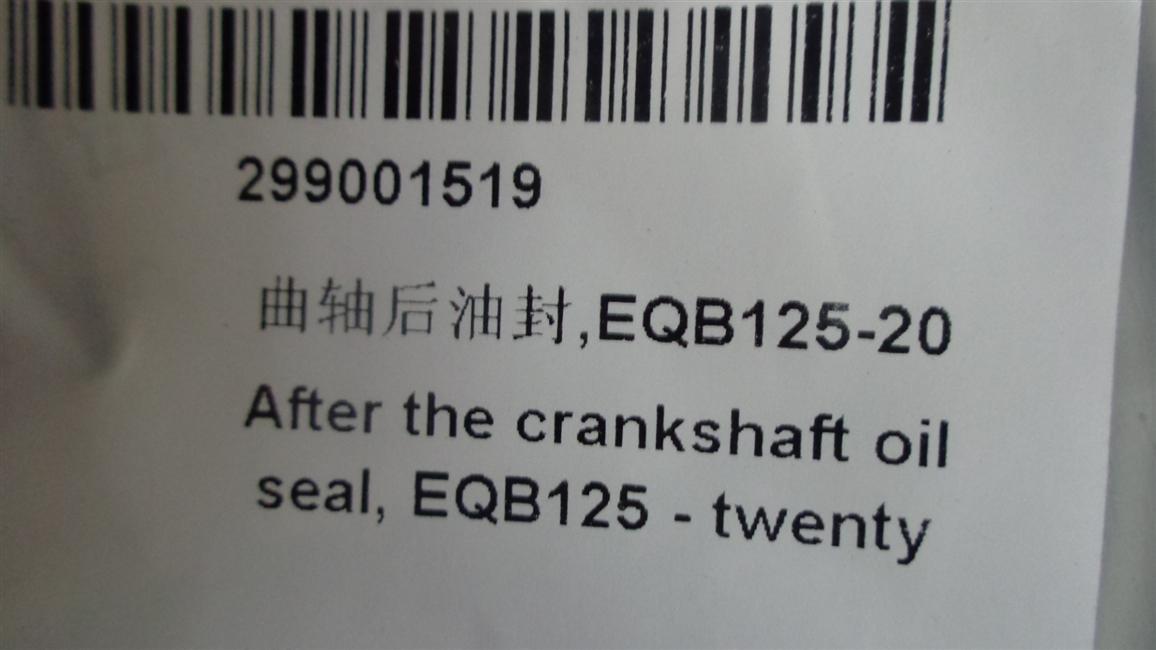 Crankshaft rear oil seal, EQB125-20