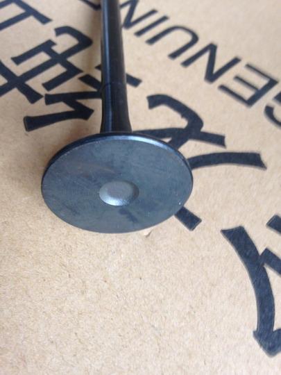 Intake valve, GW2.8TC-2