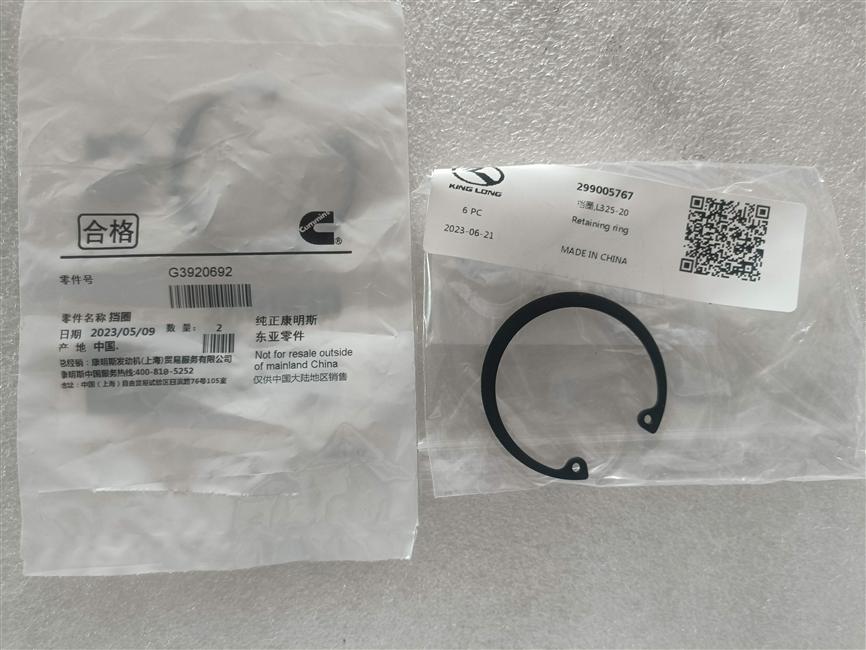 Retaining ring, L325-20