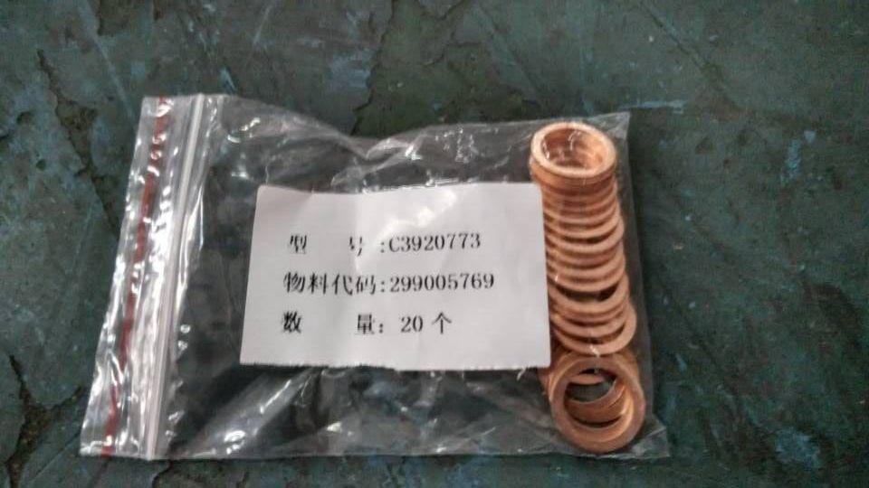 Sealing gasket, L325-20
