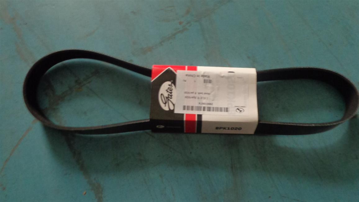 Host belt, 8pk1020-1