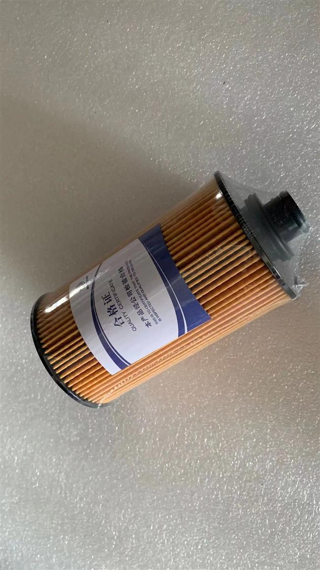 Élément de filtre à huile moteur, WP6NG240E50(CNG), DHP06K0236*01