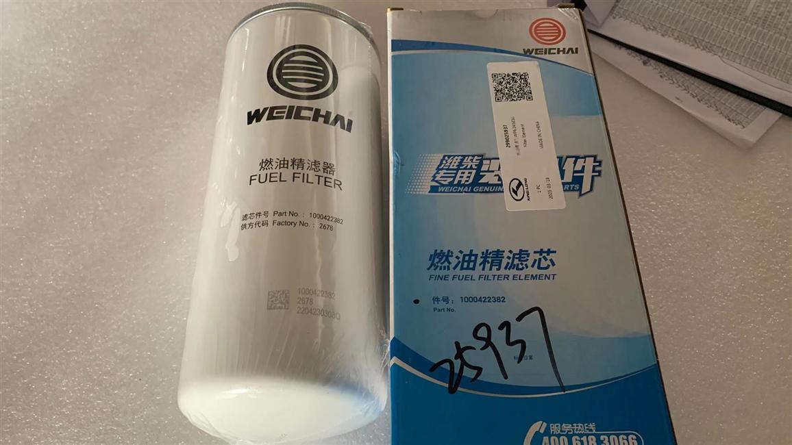 Élément de filtre de précision du carburant, WP6.245E50