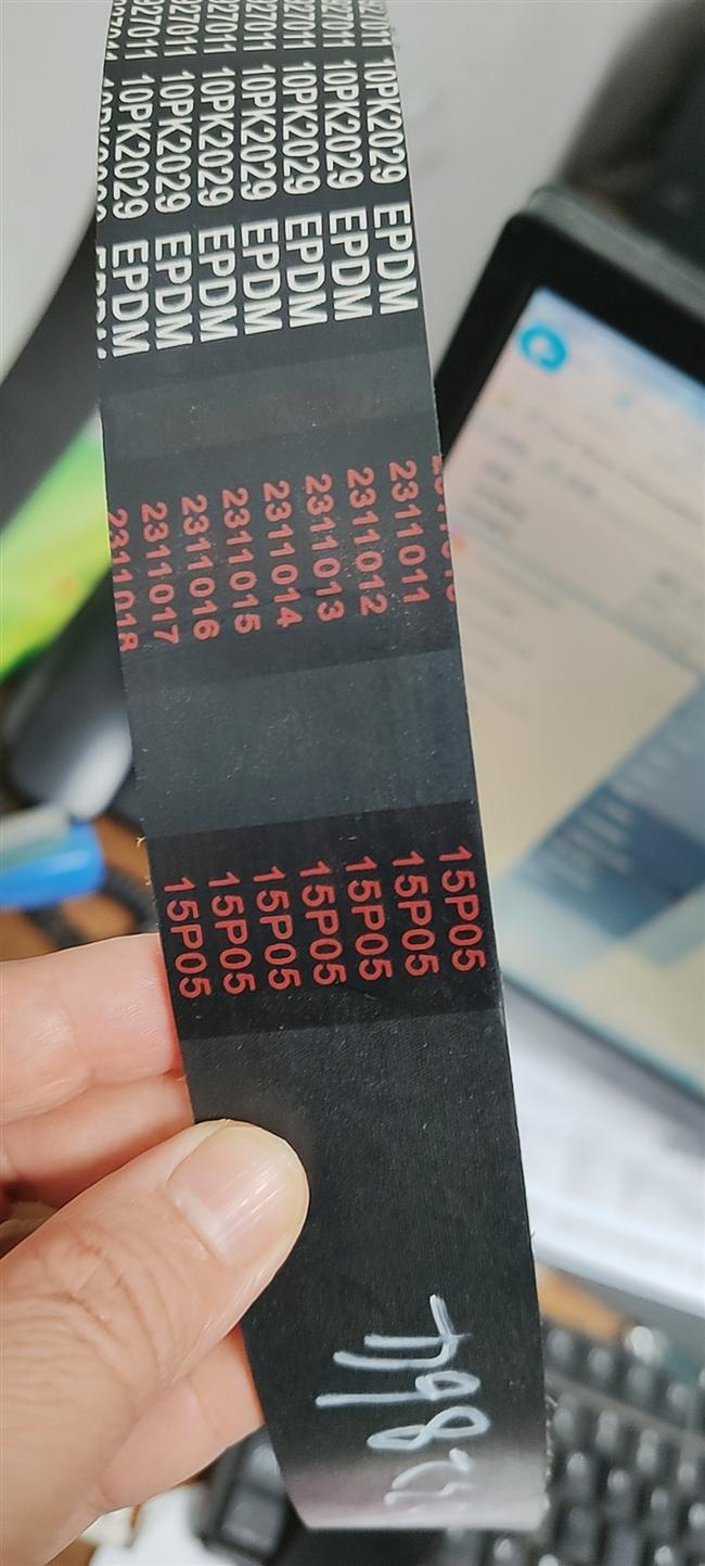 Ceinture polyvalente, WP5.180E41, DHP05K0435*01-1