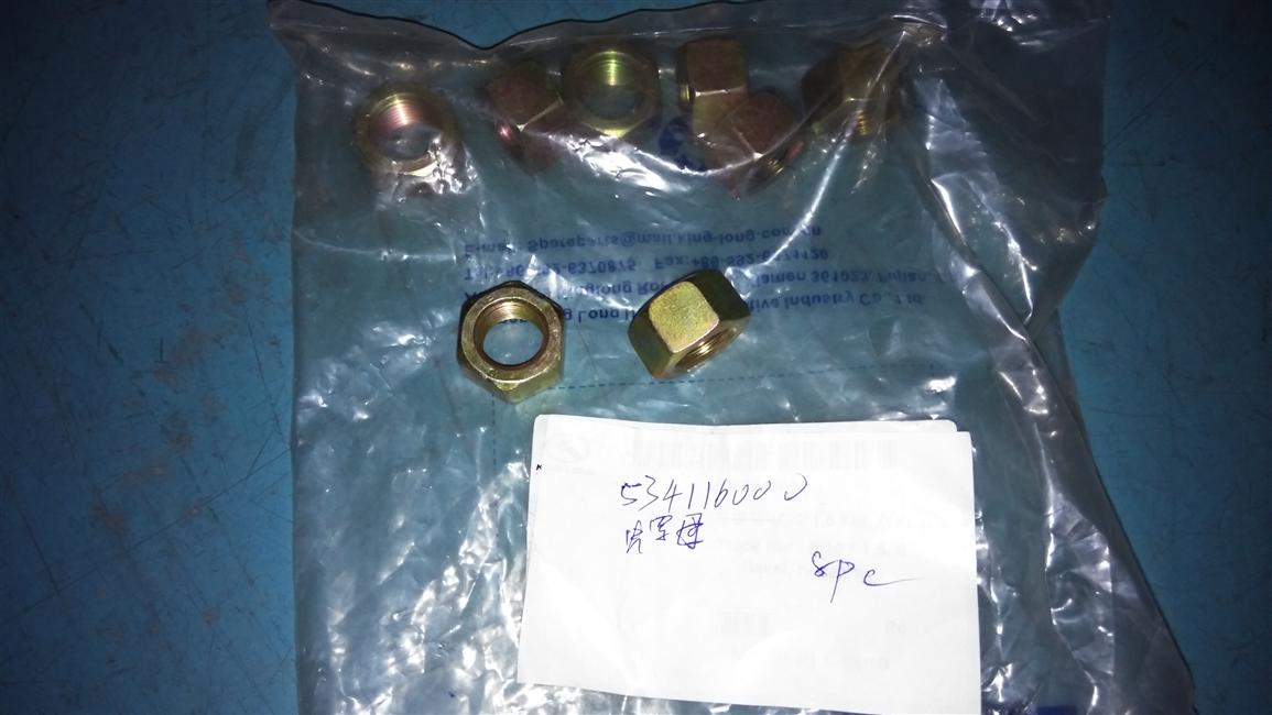 Nut-M16*1.5, Grade 8, Type 1 Hexagon