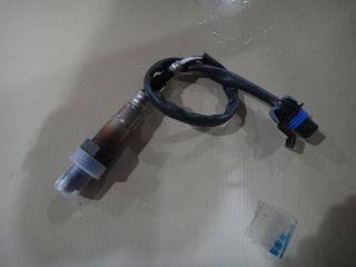Oxygen sensor
