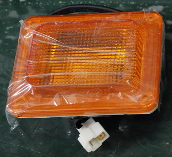 Side turn signal