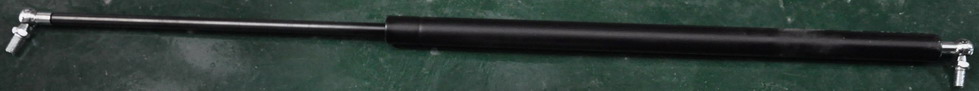 Gas struts-rear door