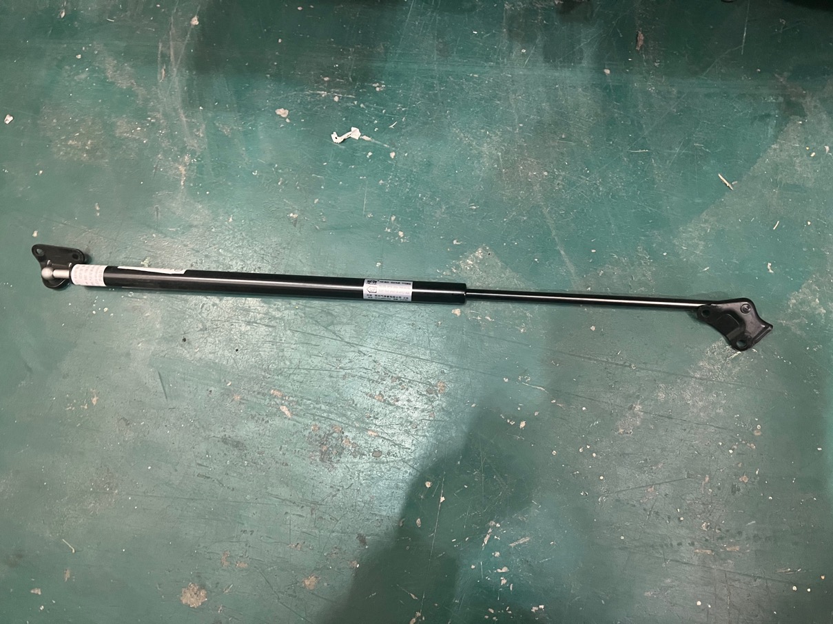 Ressort pneumatique de porte arrière gauche, GW