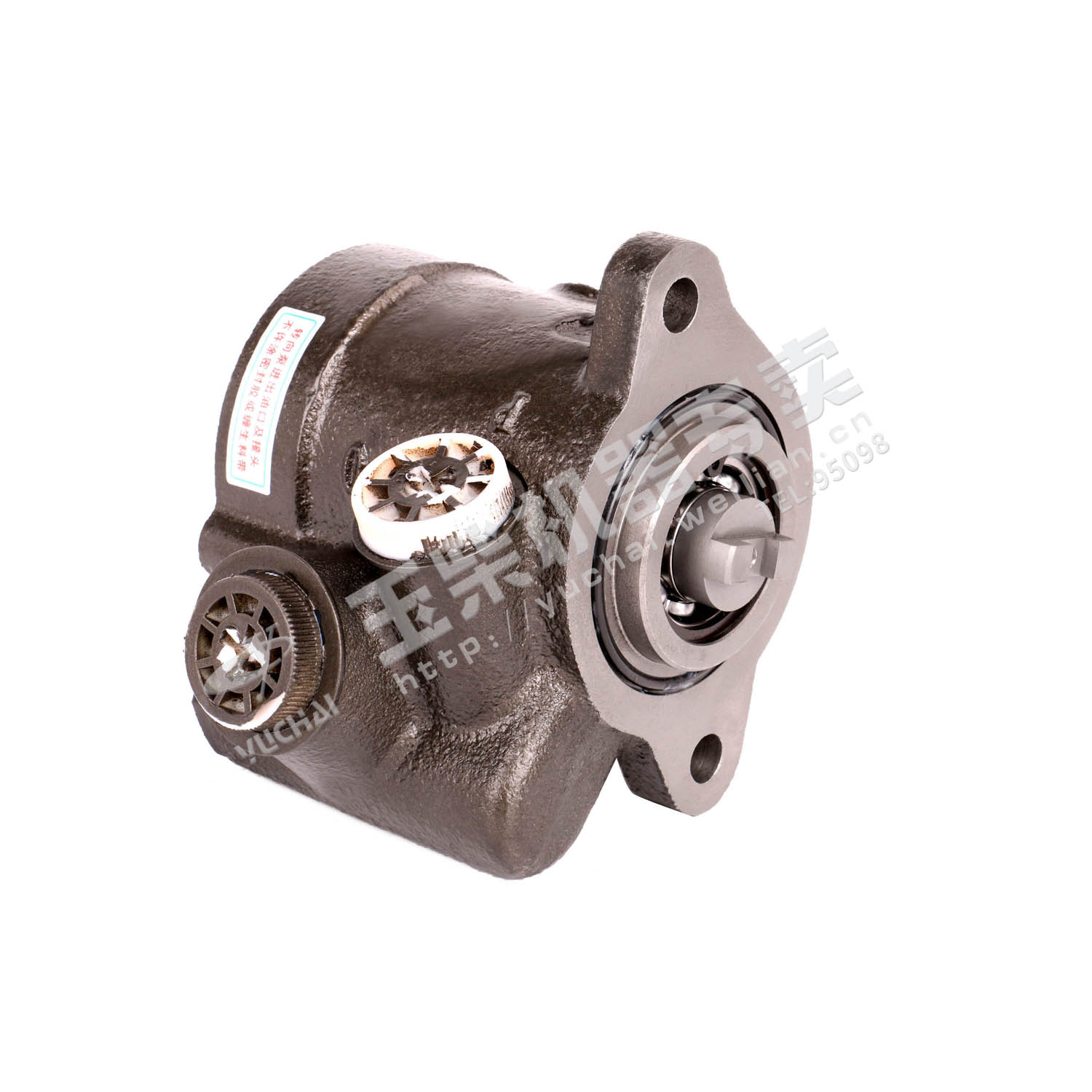 Steering pump-2