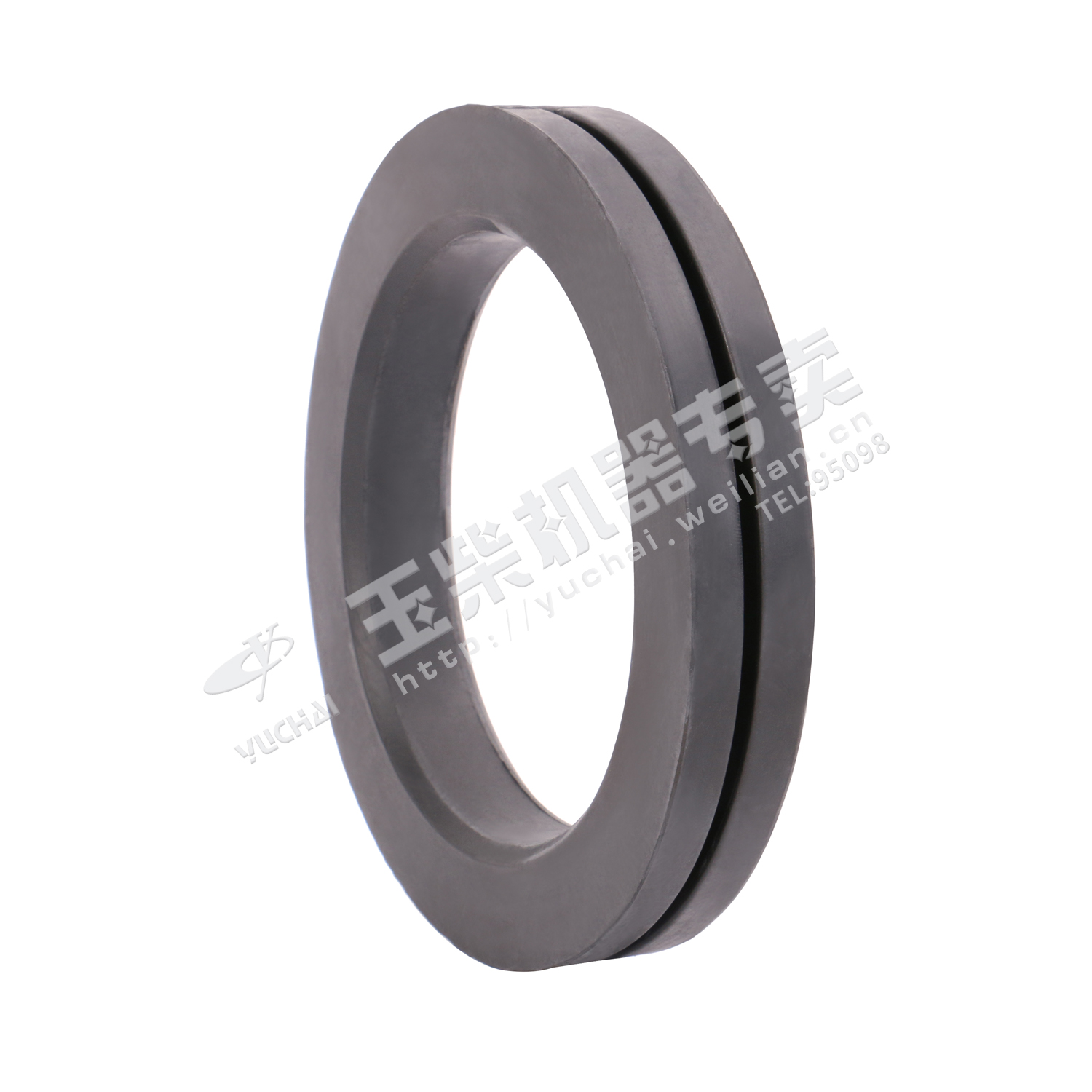 Проклятое резиновое кольцо-1