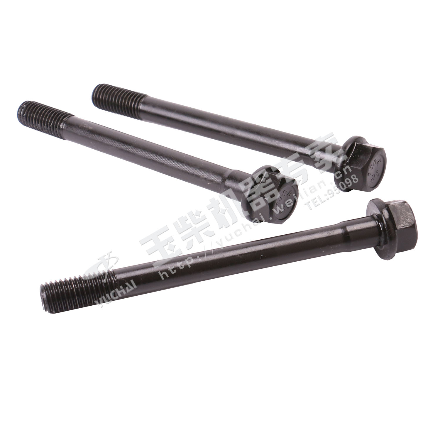 Cylinder head bolt-1
