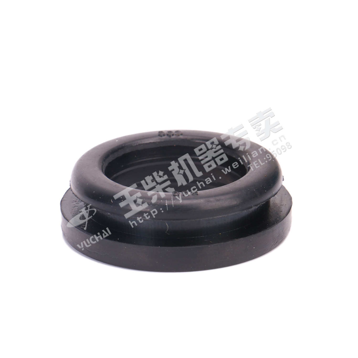 Sealing ring-1