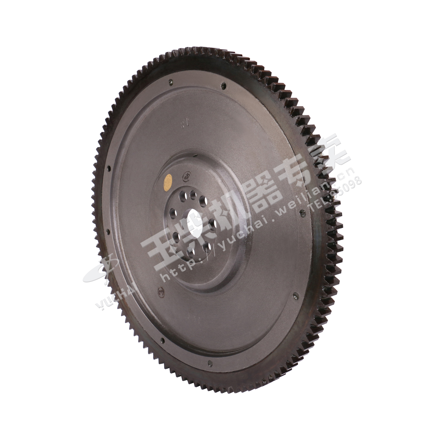 飞轮及齿圈总成-1