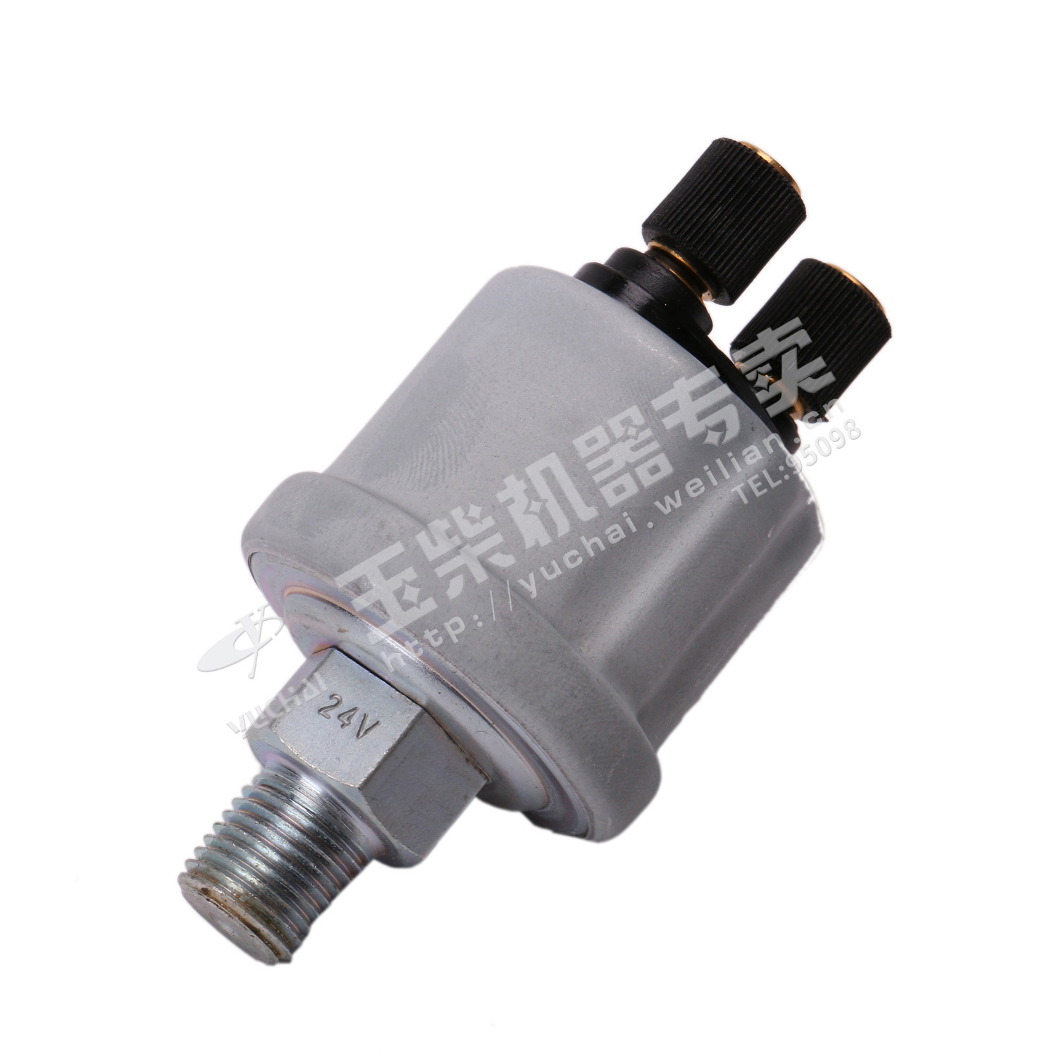 Нефтяное зондирование NPT 1/4-1