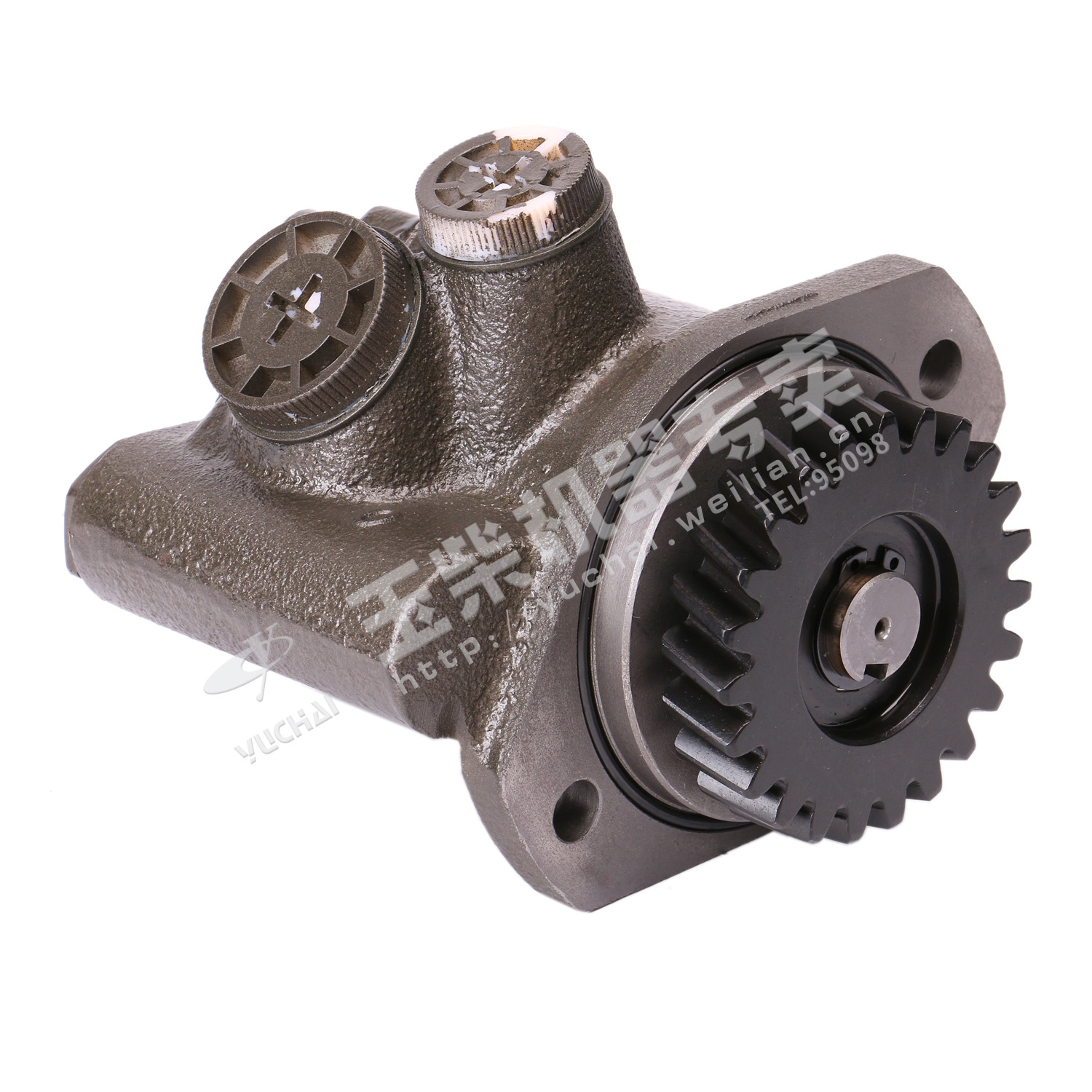 Steering pump-2