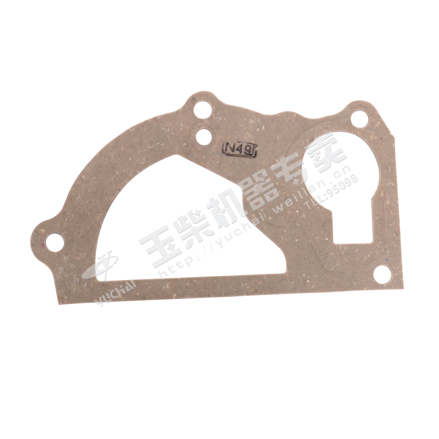 Water pump gasket
