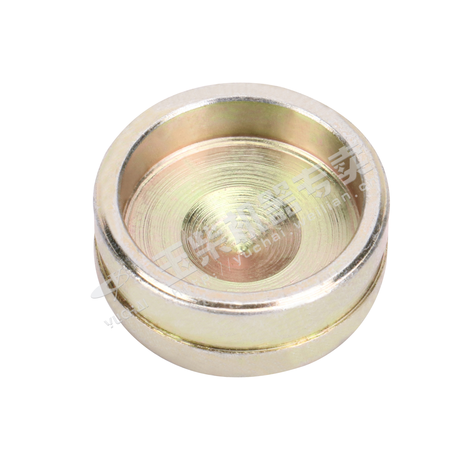 Main oil channel seal plug