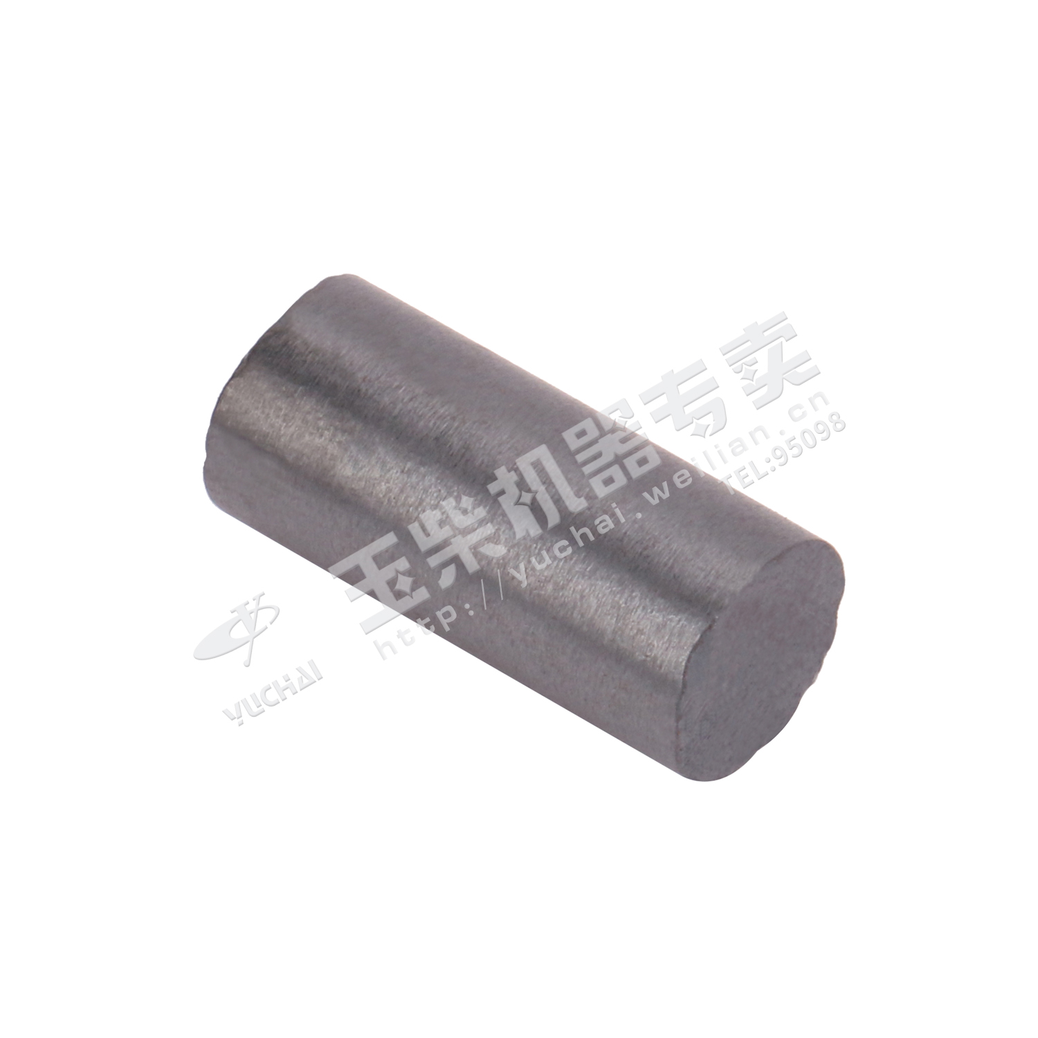 Oil drain plug magnet