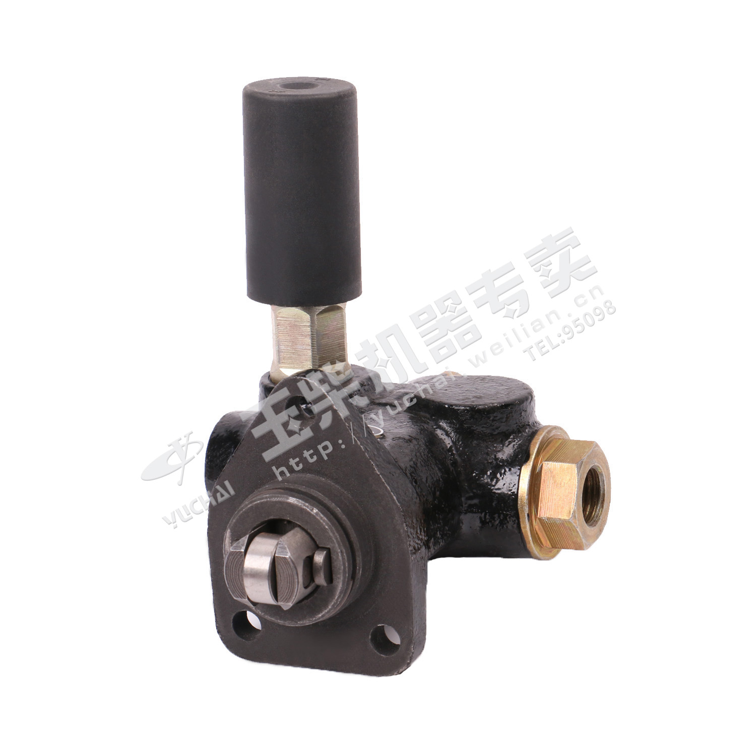 Oil Transport Pump-2