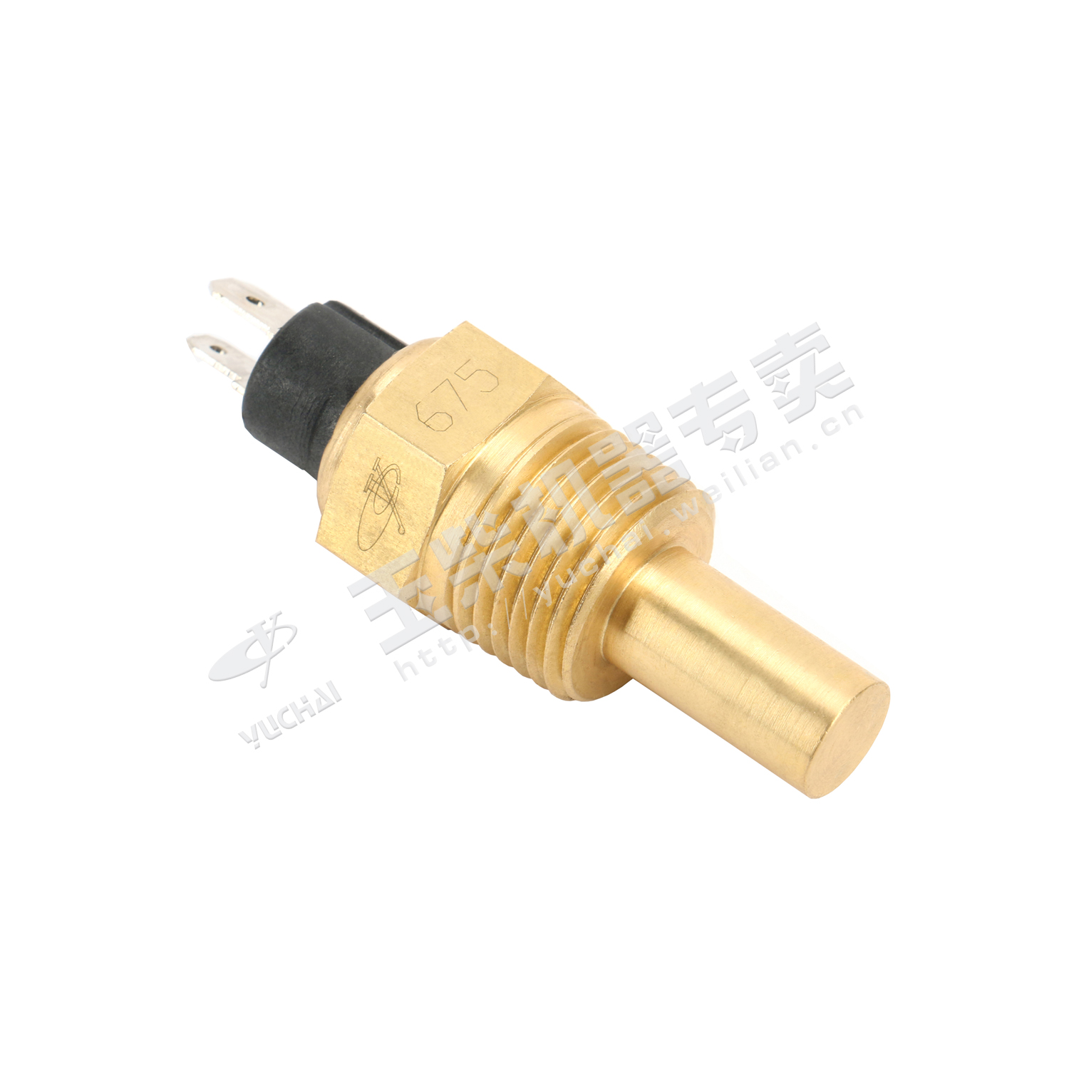 Water temperature sensing plug 3845N05-010