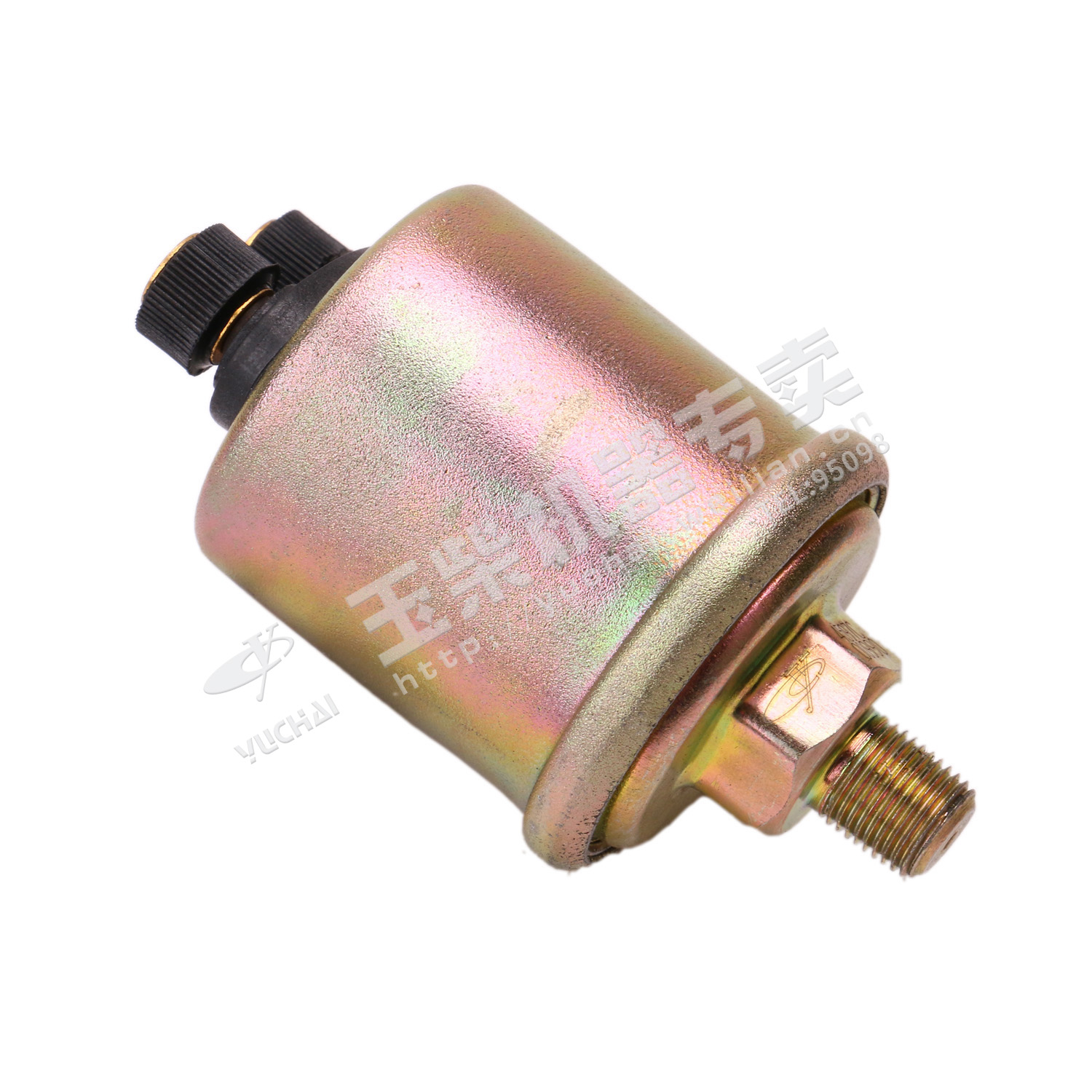 Oil pressure sensing plug (dual function)
