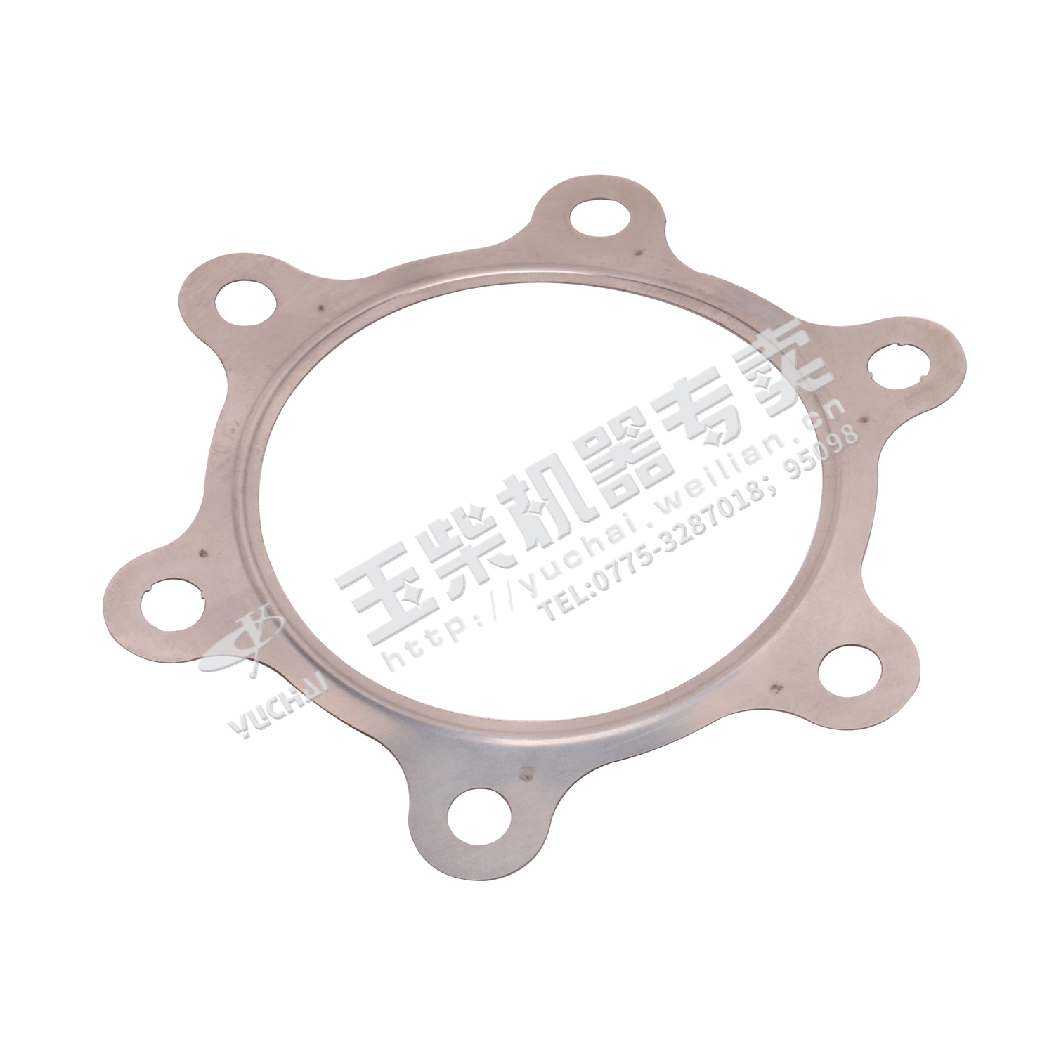 Turbine rear pipe gasket