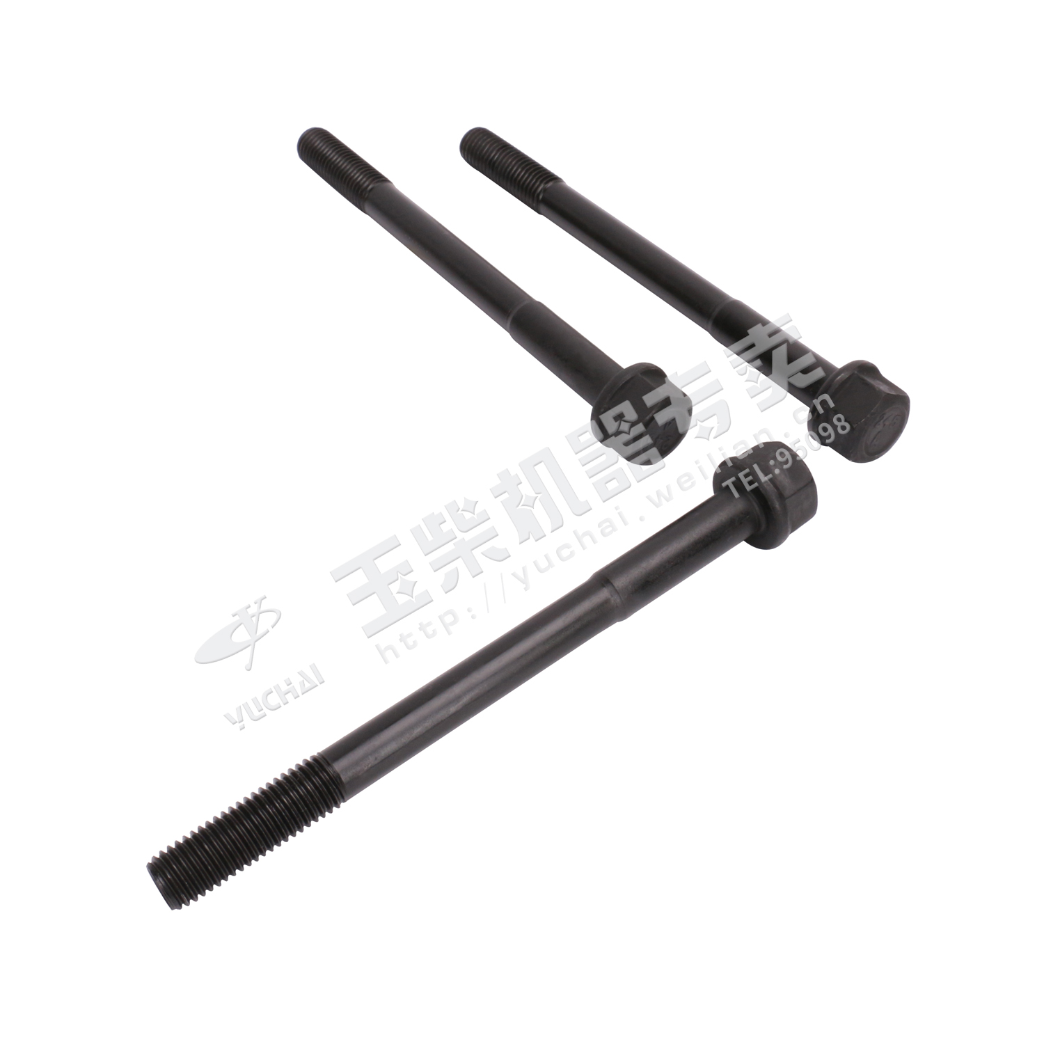 Cylinder head bolt-1