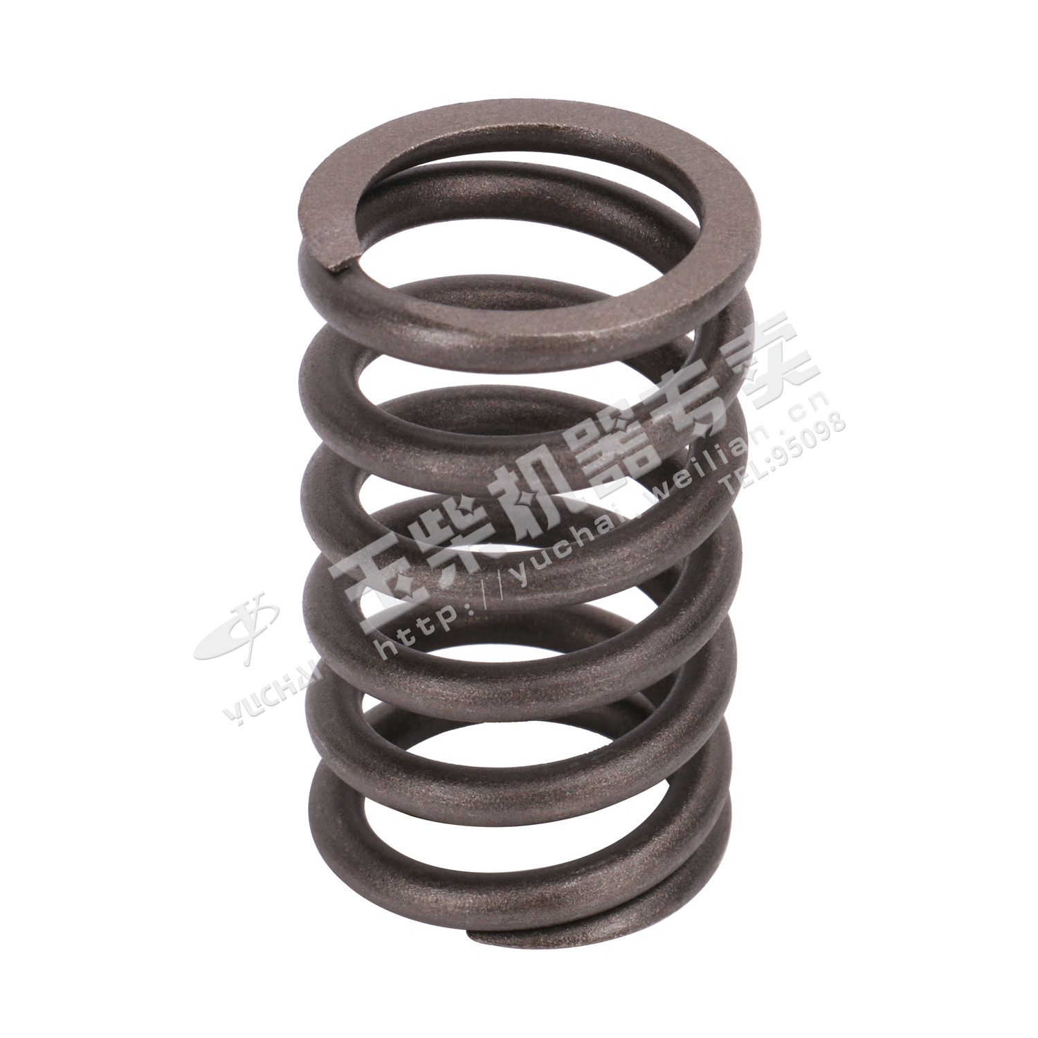 Valve spring-1