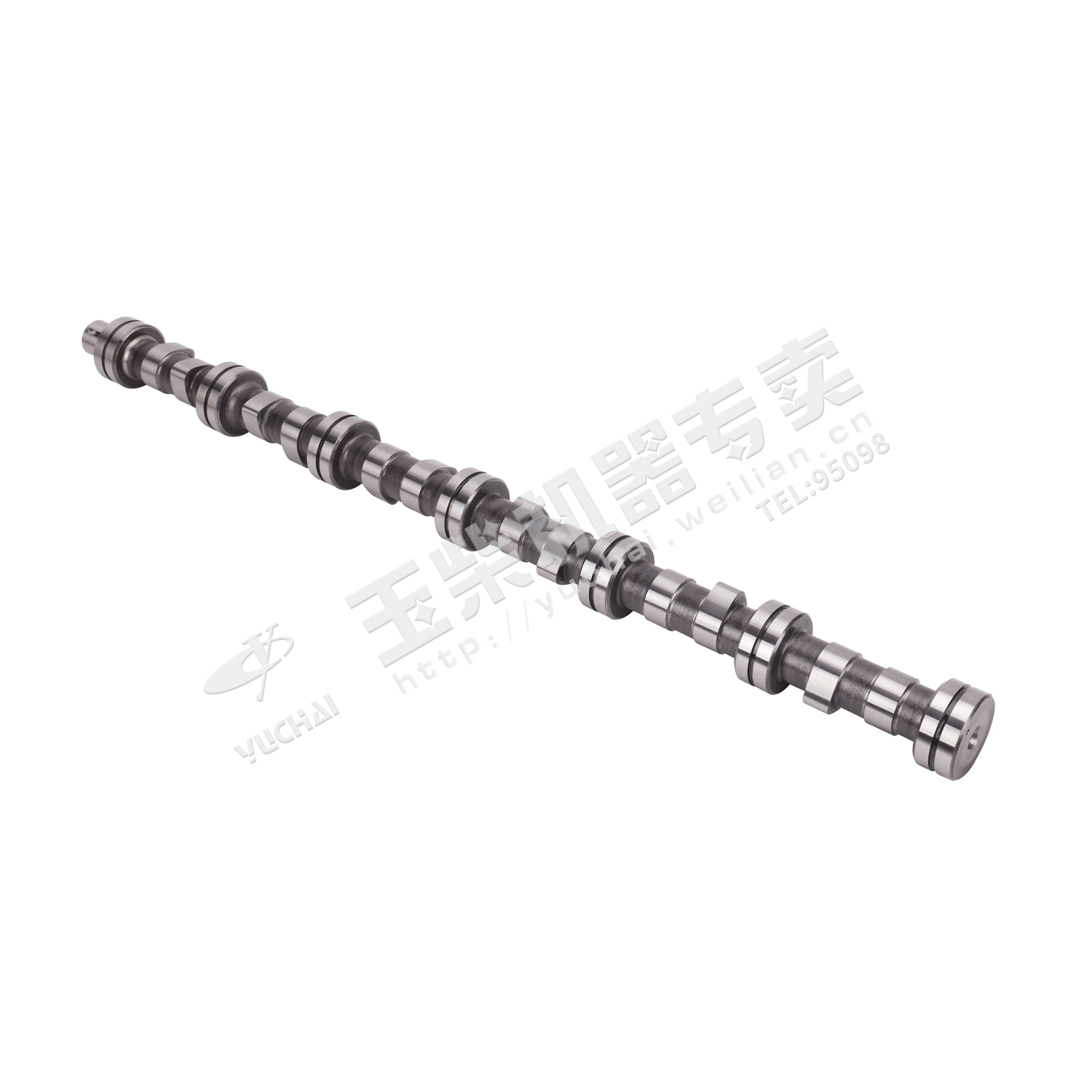 Валка в клетке-1