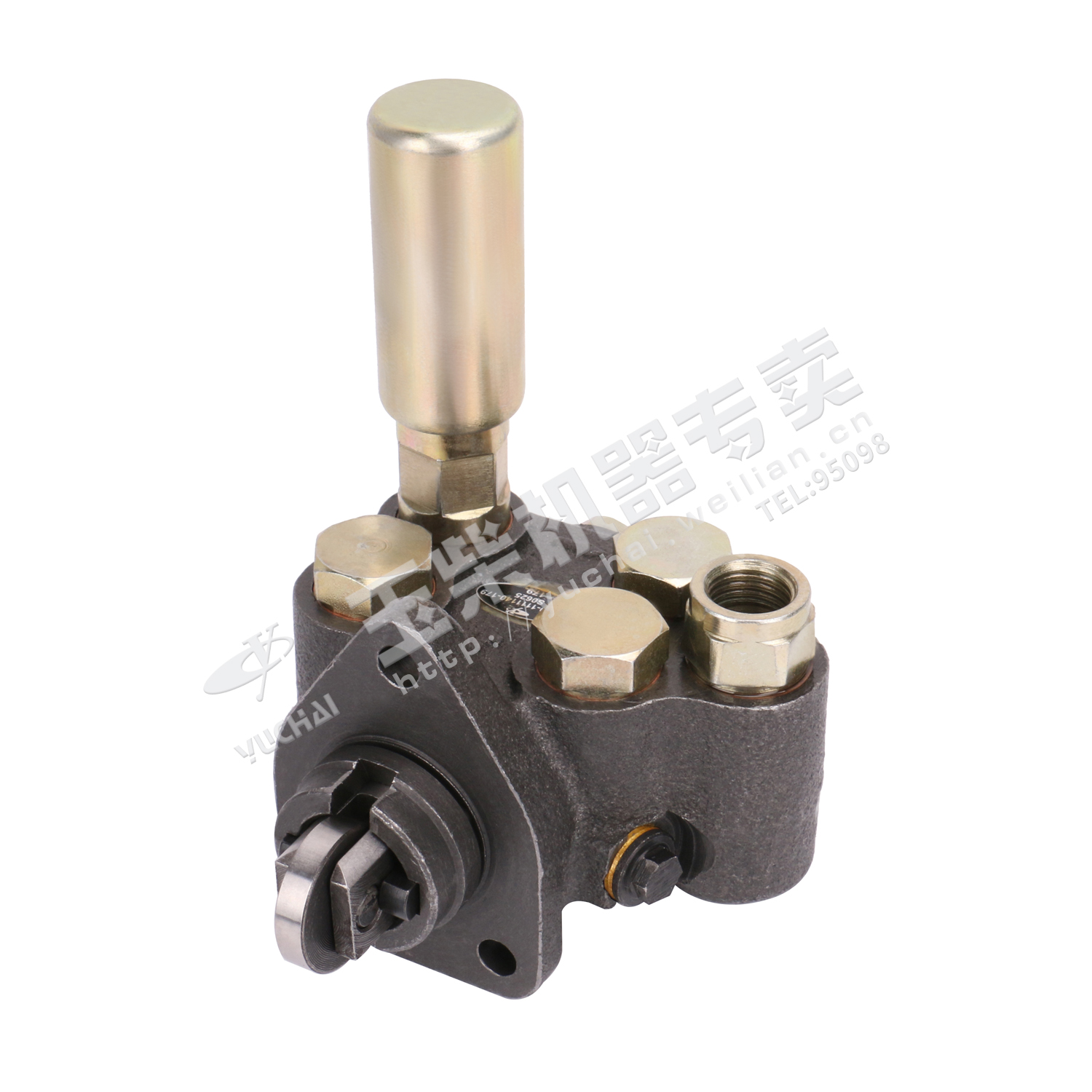 Oil Transport Pump-2