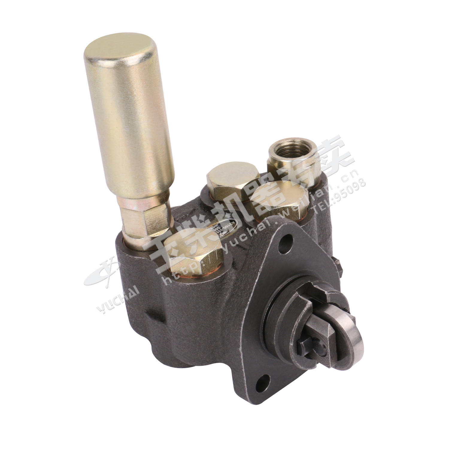 Oil Transport Pump-3