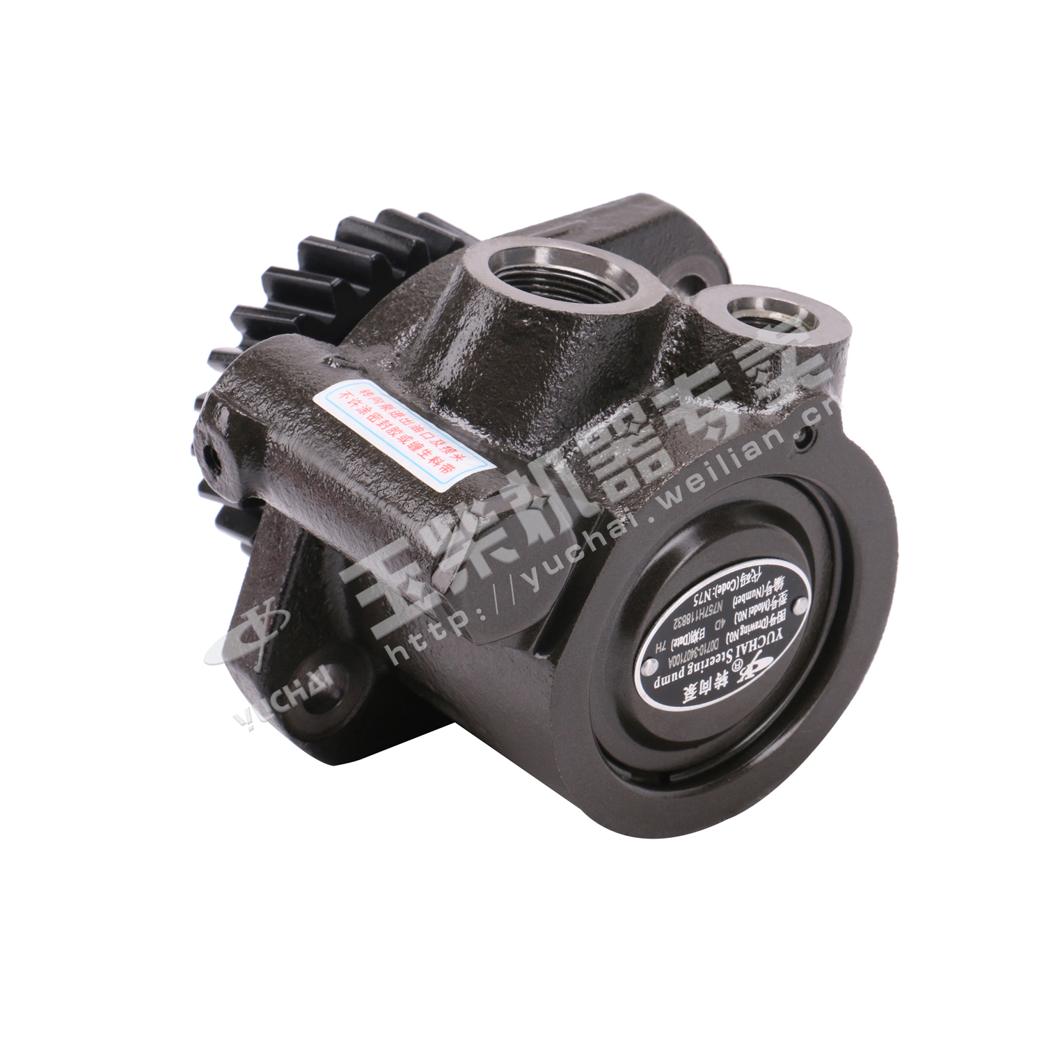 Steering pump-1