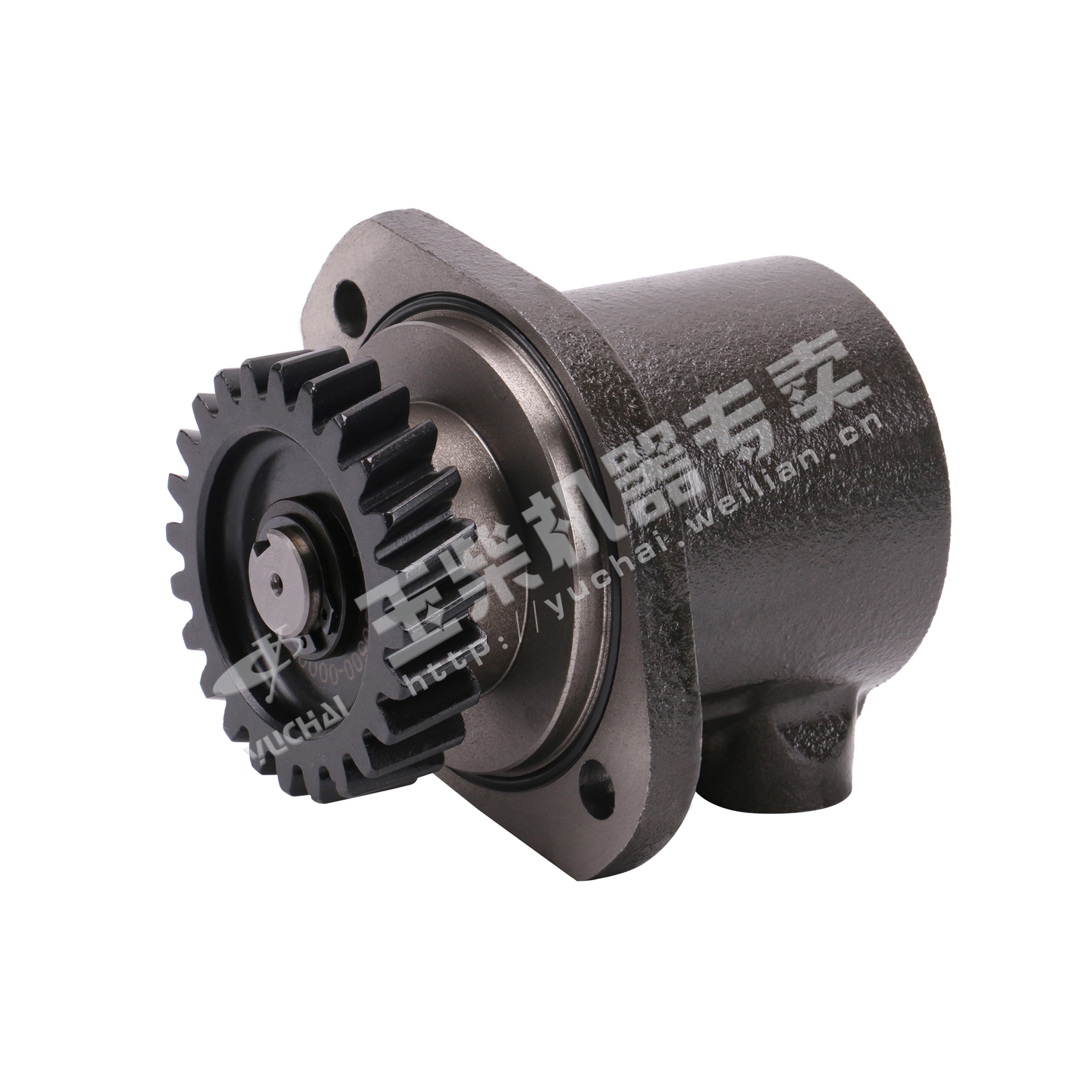 Steering pump-3