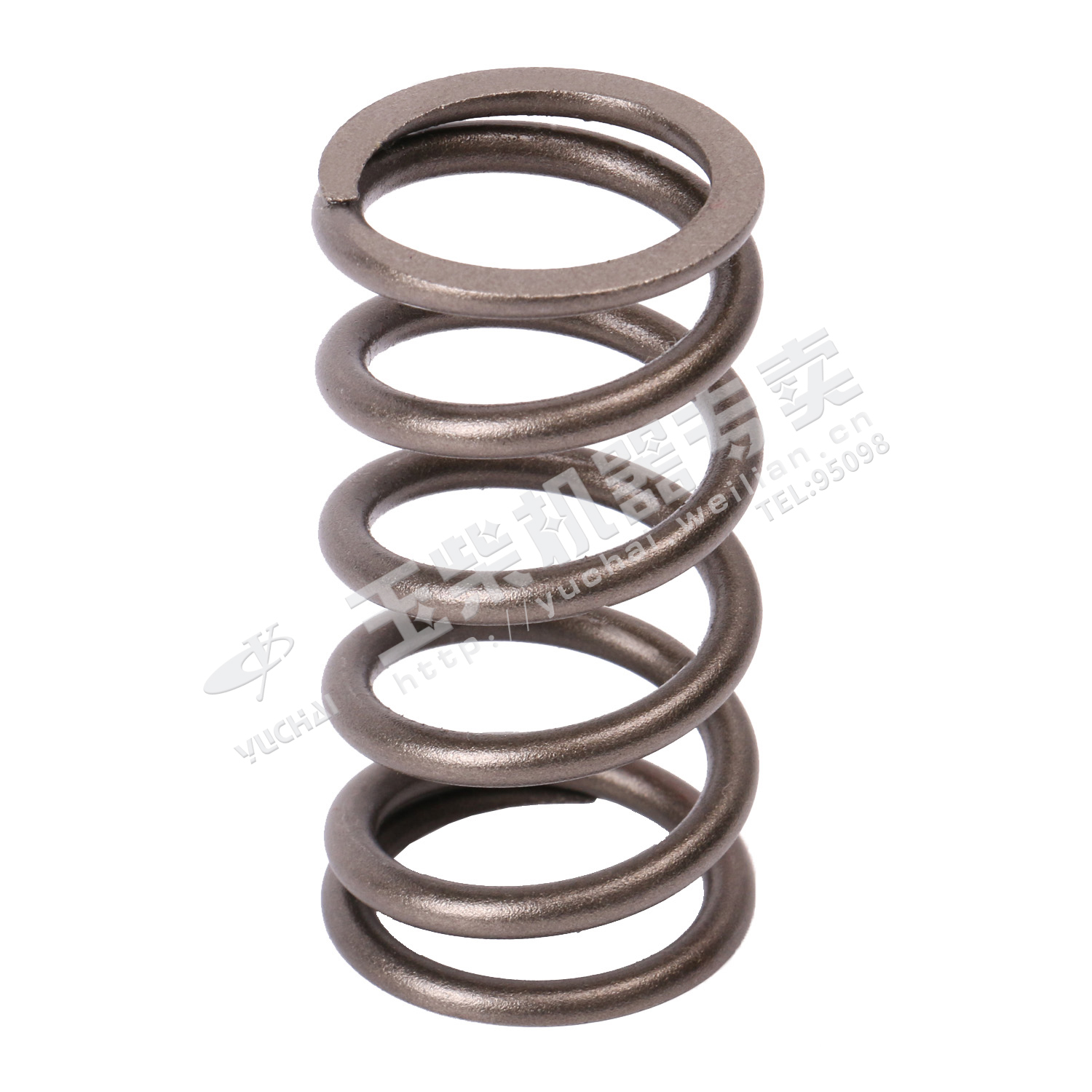Exhaust valve spring-1