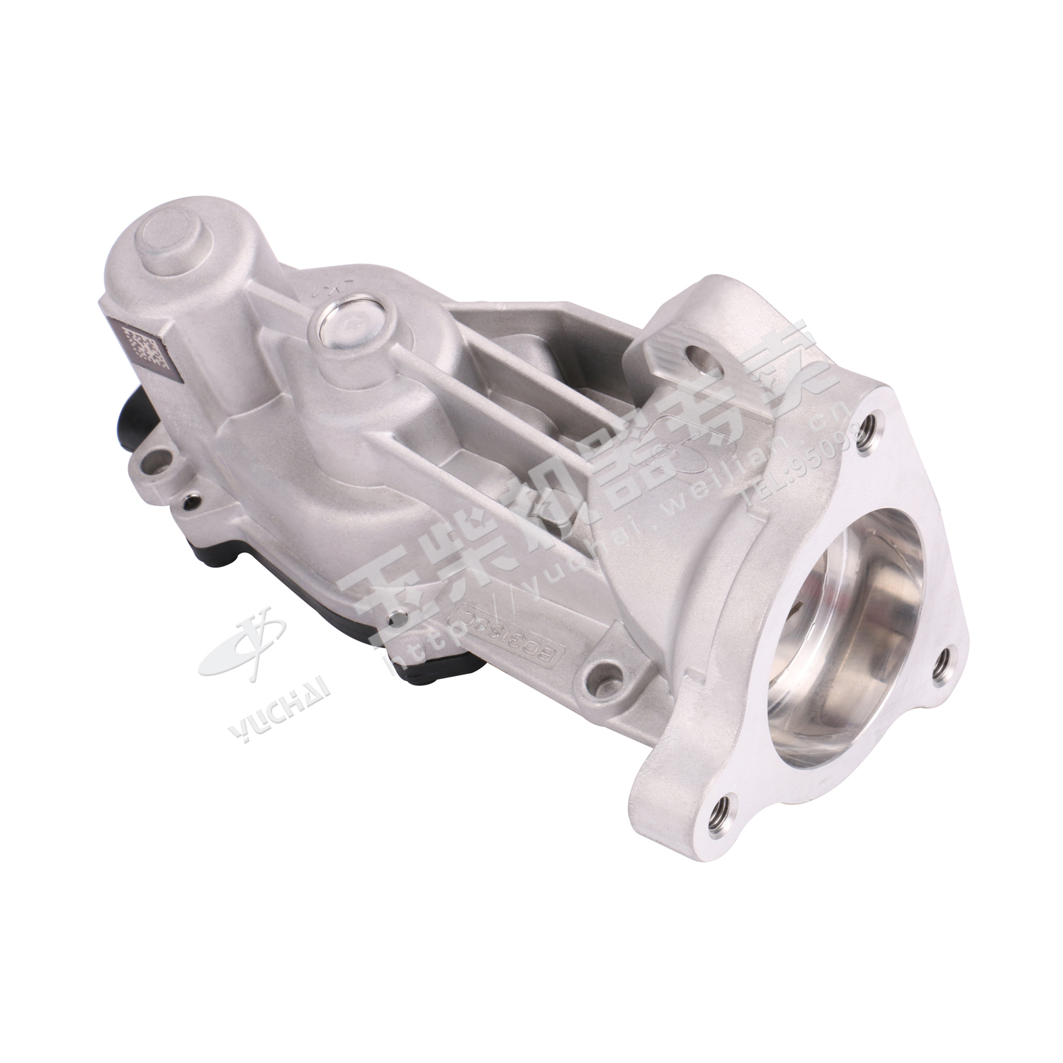 EGR valve